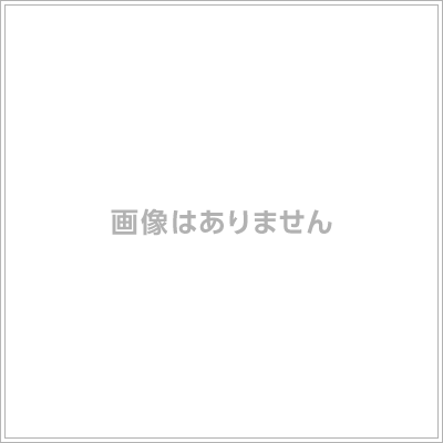 ヴィオレット 讃岐塩屋駅 1K 賃貸(賃貸マンション・アパート)